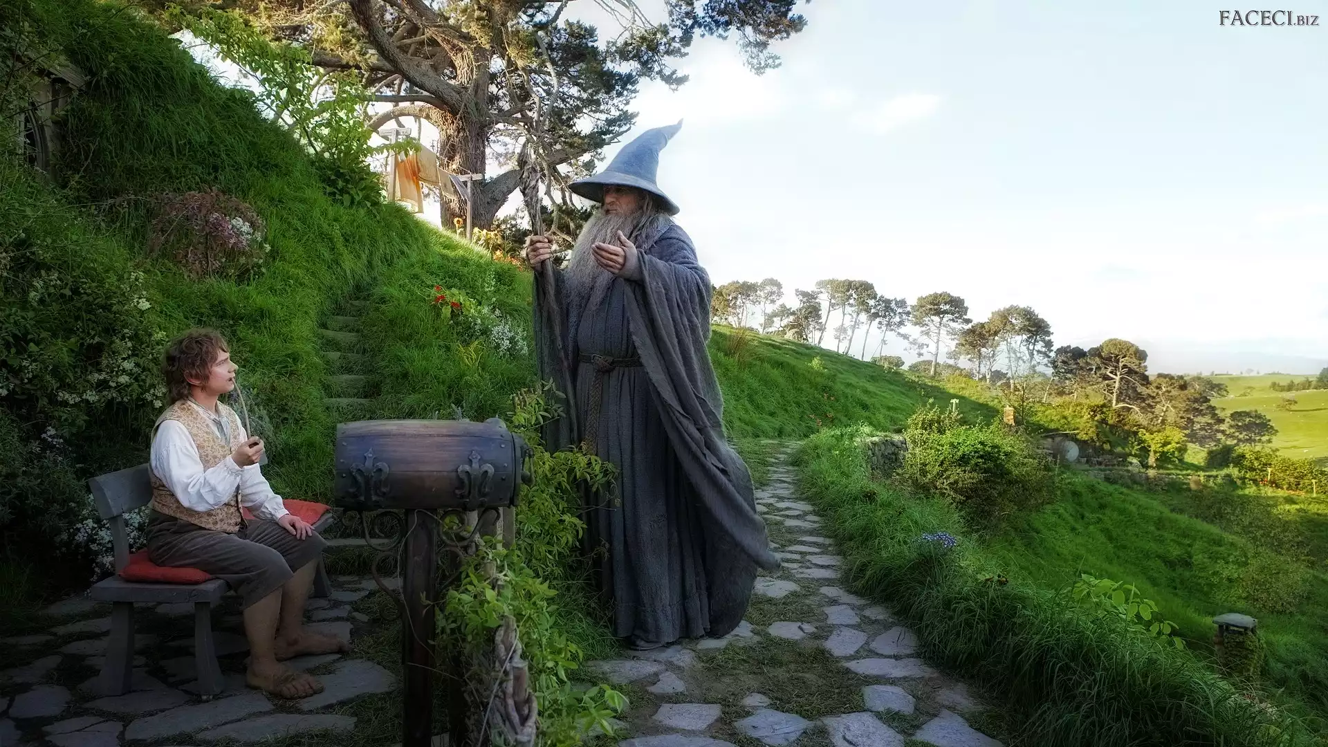 Mężczyzna, Trawy, Chłopiec, Ścieżka